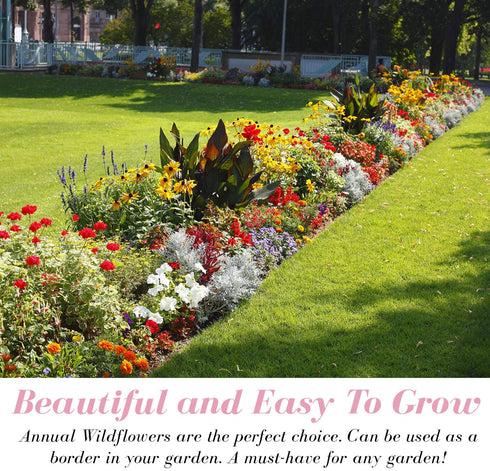 112,000+ Wildflower Seeds: Bulk Mix of 21 Varieties, Non-GMO Wild Flower Seed | Bee and Butterfly Garden Variety Pack | Annual Flowers Seeds for Planting | Native Wildflower Plants for Your Garden